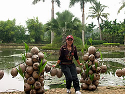Hainan - Botanischer Garten